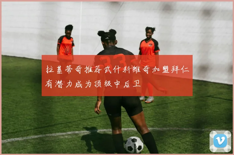 拉基蒂奇推荐武什科维奇加盟拜仁有潜力成为顶级中后卫